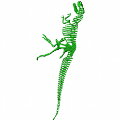 Dinosaur Embroidery Design 10 Dinosaur Embroidery Design 10